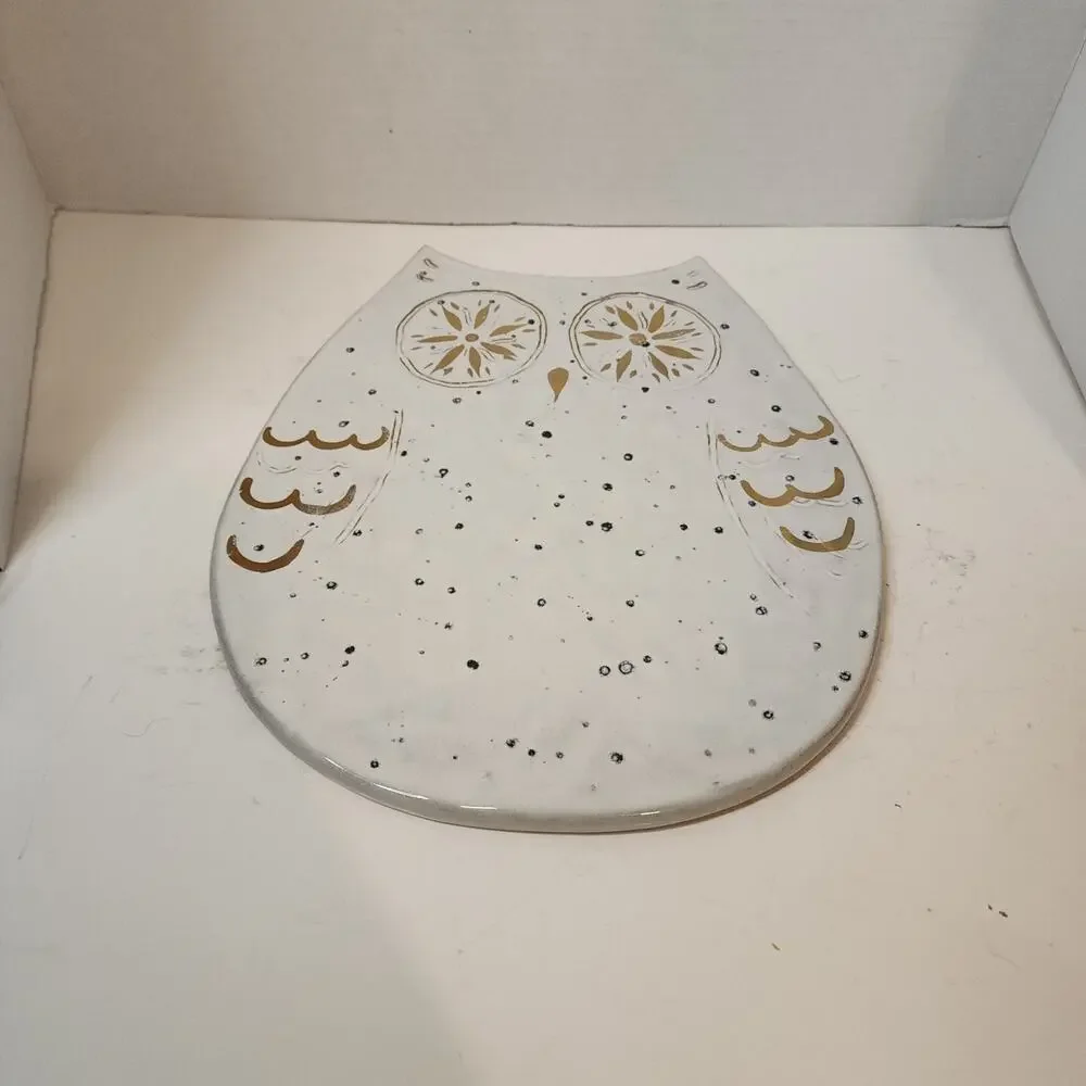 White Wide Eyed Owl 12